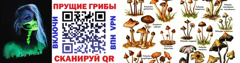 darknet клад  Новое Девяткино  Галлюциногенные грибы GOLDEN TEACHER  закладка  blacksprut вход 